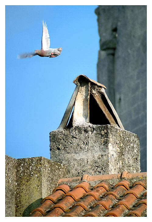 13c.jpg