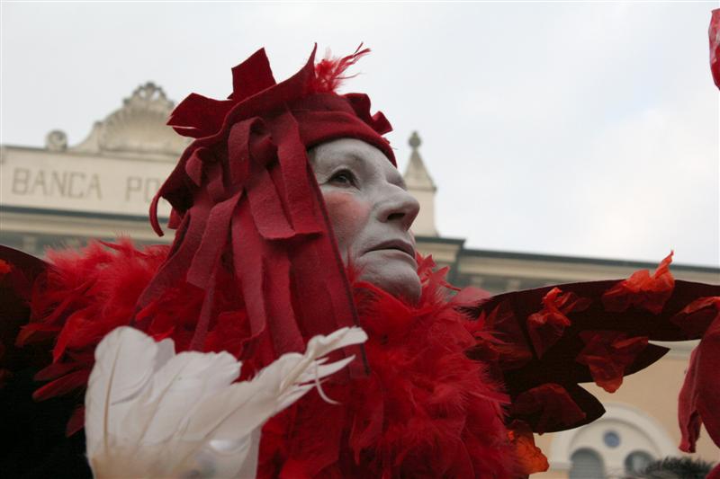 14-IMG_9010 (Medium).JPG