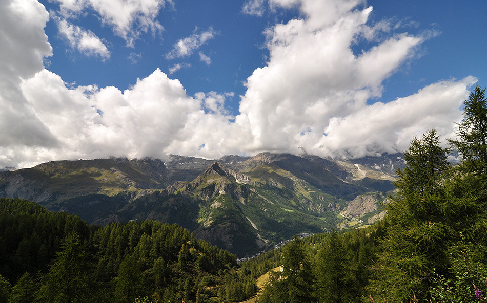 140830_VDA_Cheneil.jpg