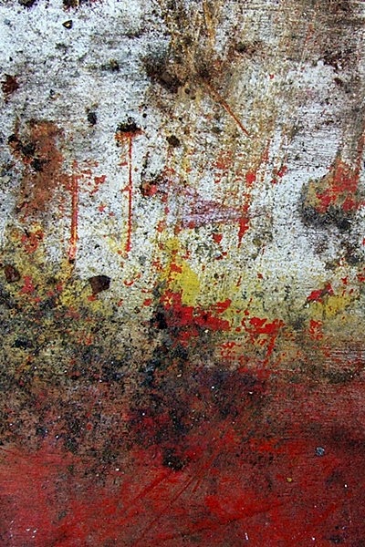 147.jpg