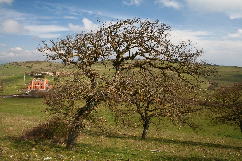 1484_1.jpg