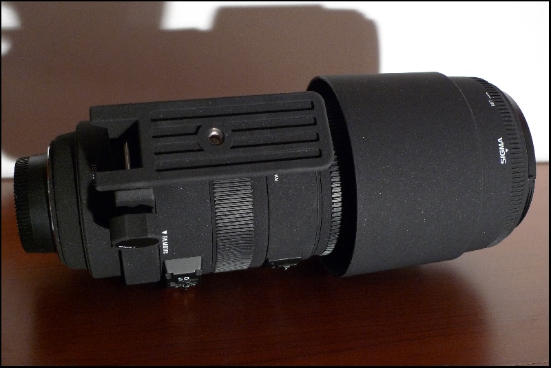 150-500 (2).jpg