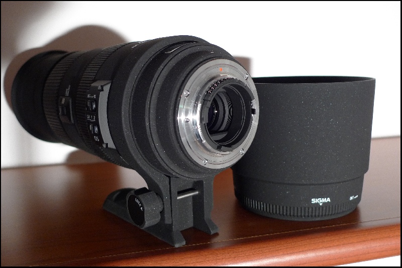 150-500 (6).jpg