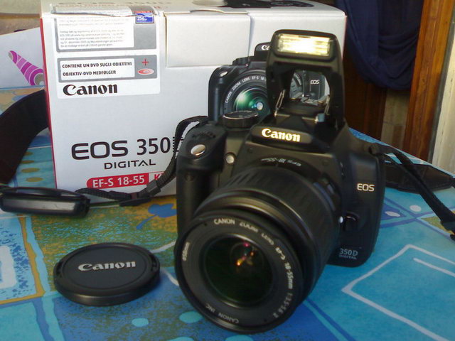 15052006071.jpg