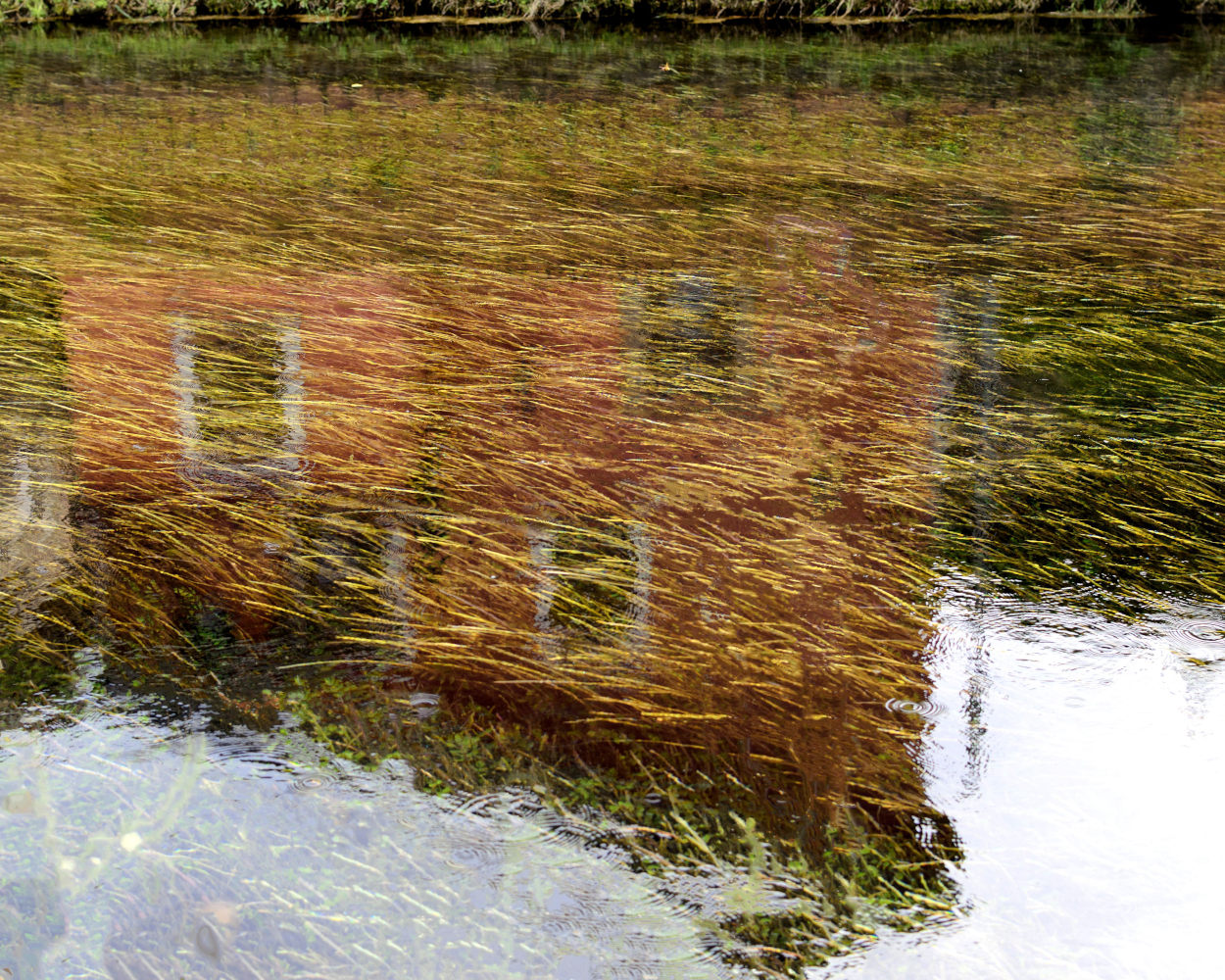 15391_02.JPG