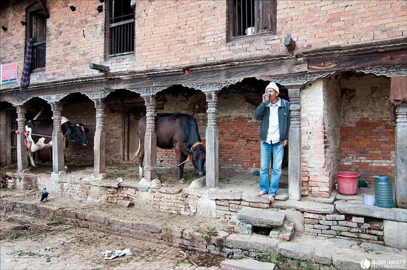 16-vita cittadina.jpg