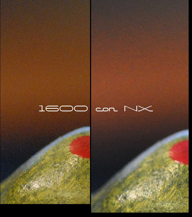 1600 con NX.jpg