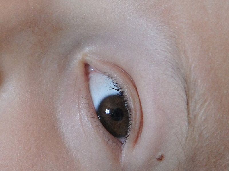 1600_crop.jpg