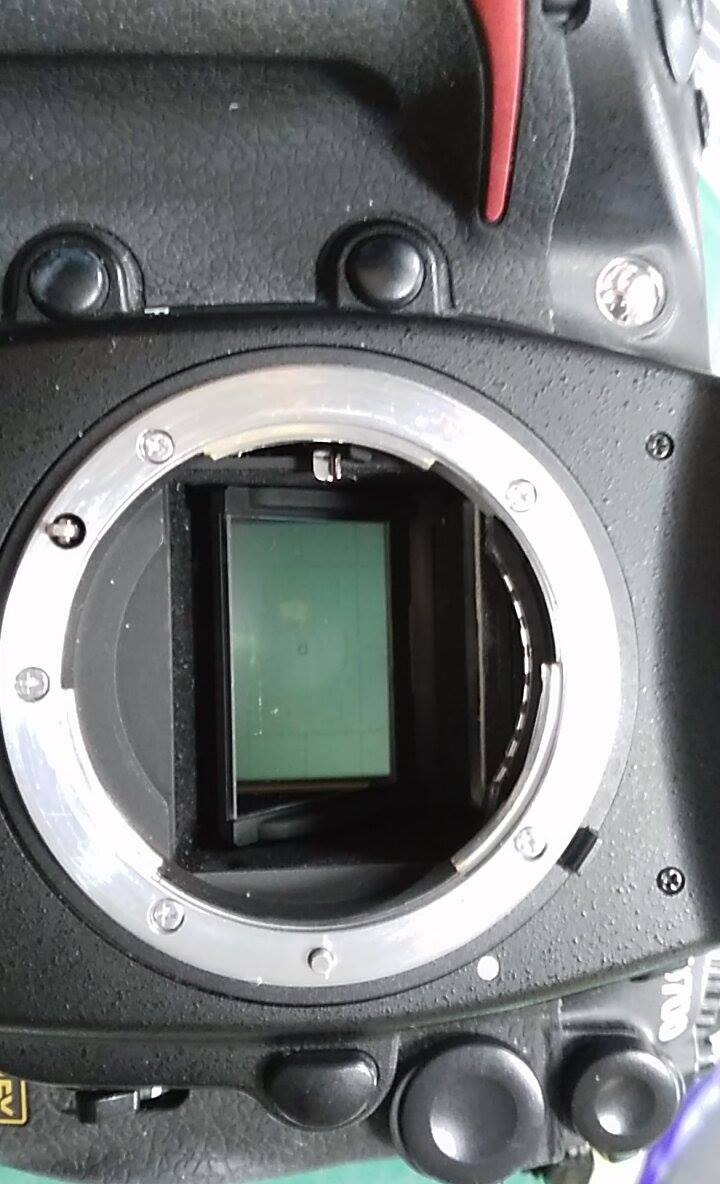 16466733_10210233164498779_285943749_o.jpg