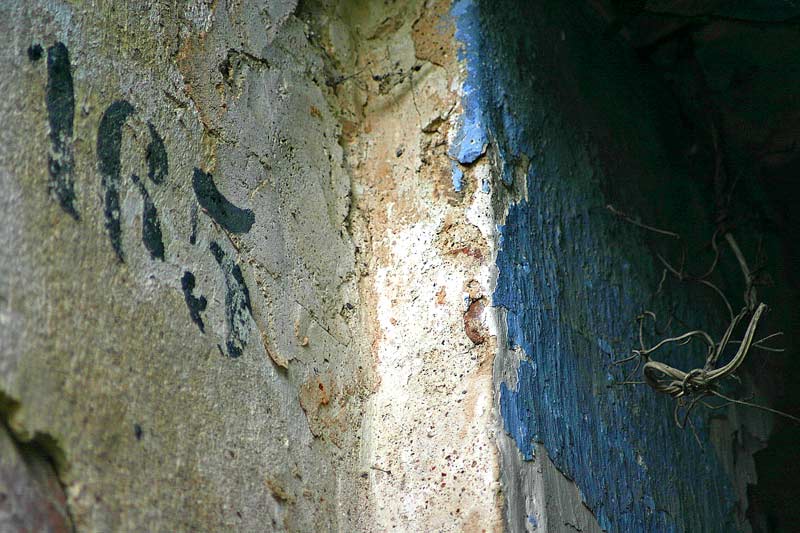 165.jpg
