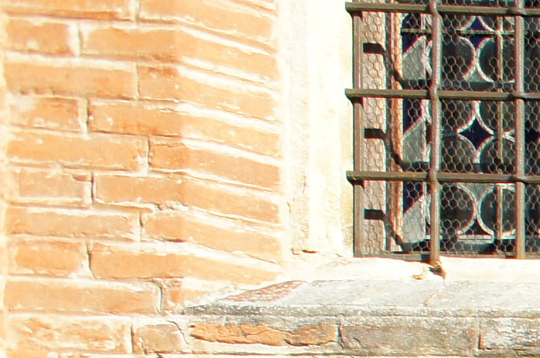 16 f5,6 crop bordi.jpg