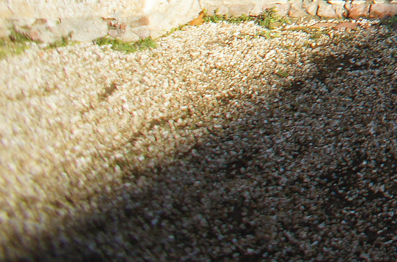 16mm + wide f2,8 crop sx basso.jpg
