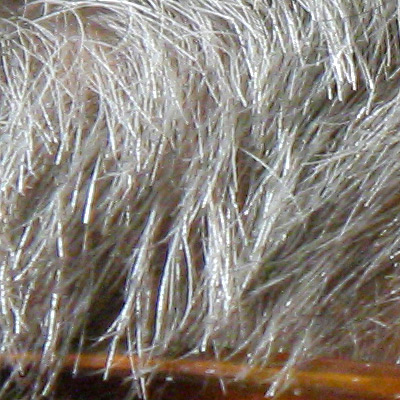 17-55canon_crop.jpg
