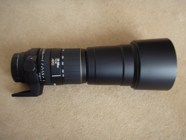 170-500.JPG