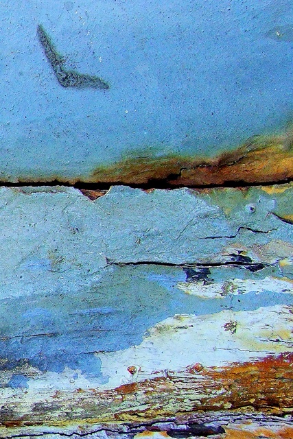 179.jpg
