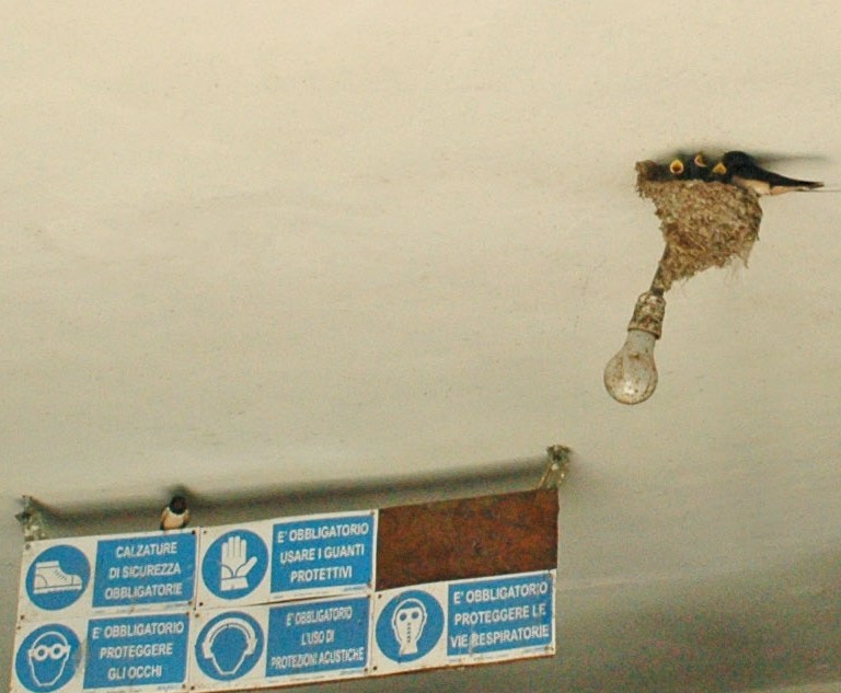 189_2.jpg