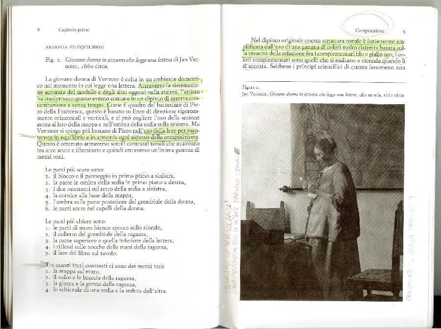 1 - Mary Acton a proposito di Giovane donna in azzurro che legge una lettera di Jan Vermeer  Einaudi editore.jpg