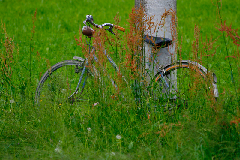 1_200--f_5.6---300mm-iso-100.jpg