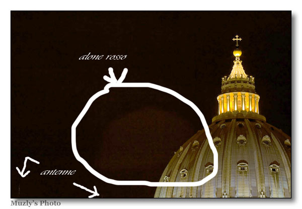1_2_cuppo2_383.jpg