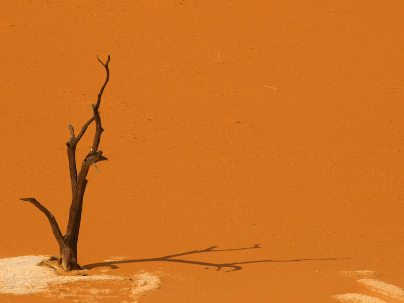1 DeadVlei-Me-and-my-shadowweb.jpg