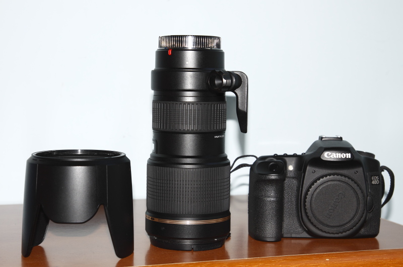 1 ridimensionato.JPG