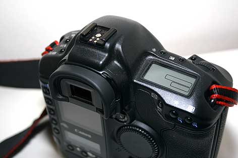 1DMKII_MG_7838.jpg