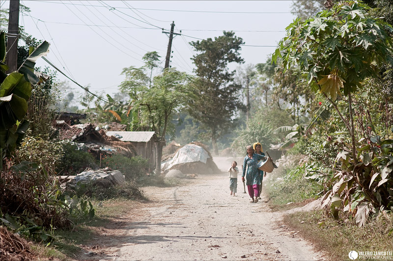 20-pianure del Terai.jpg