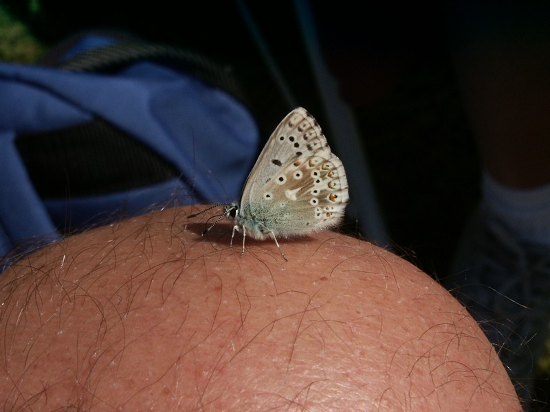 2002-07-29_MTB_C_Banche-PICT1559.jpg
