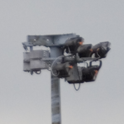 20028crop.jpg