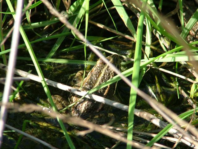 2004_1022Image0018 (Small).JPG