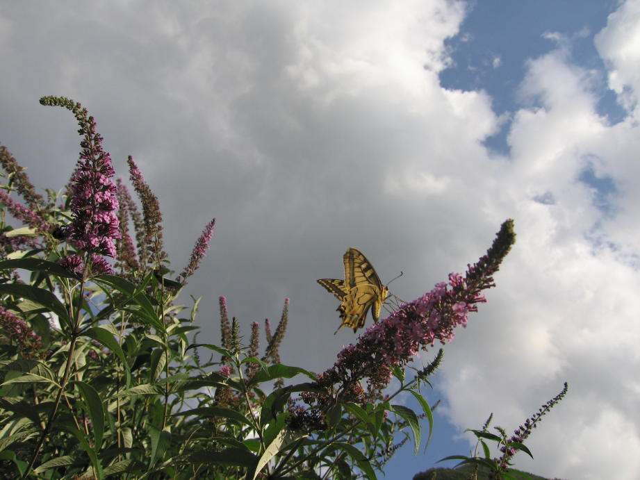 20050708_0029_1_2_1.JPG