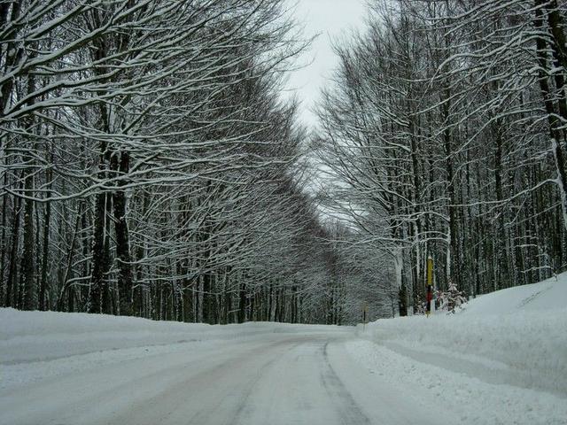 2005_03_06_Amiata_neve_14.jpg
