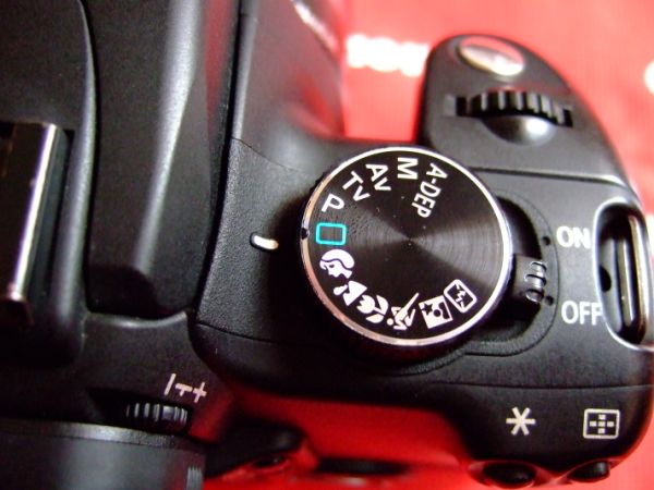 2006_01180023.jpg