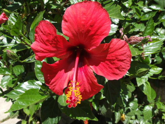 2006_0614PrimaProva0008.JPG