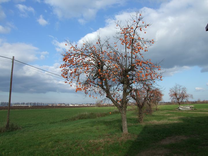 2006_12220008.jpg