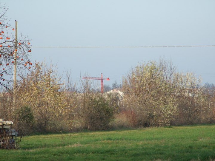 2006_12230009.jpg