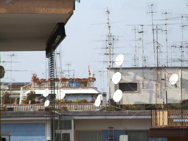 2007_02110019.JPG