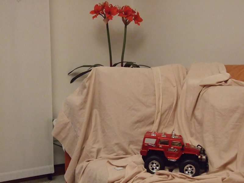 2007_0320000_web.jpg