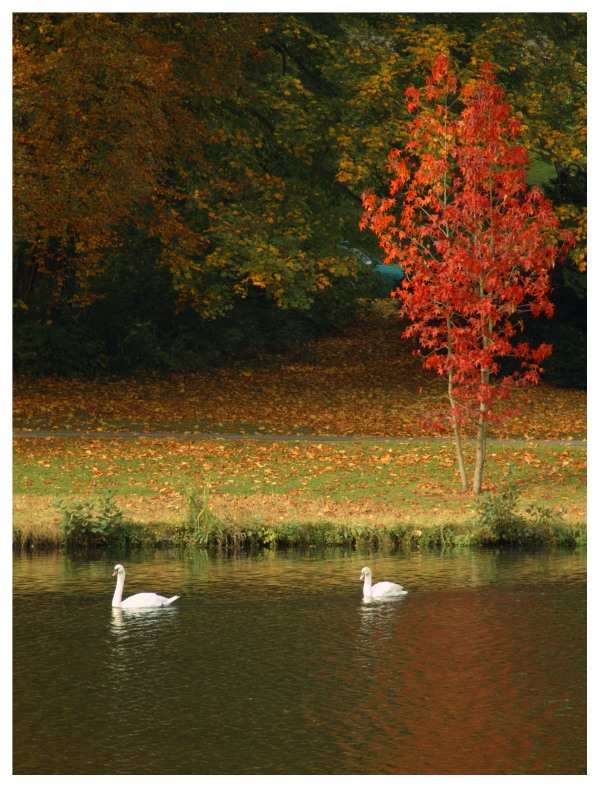 2007_10210022_5mod.jpg