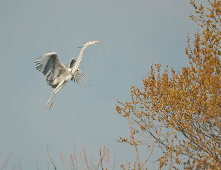 2008-03-29 131-lt.jpg