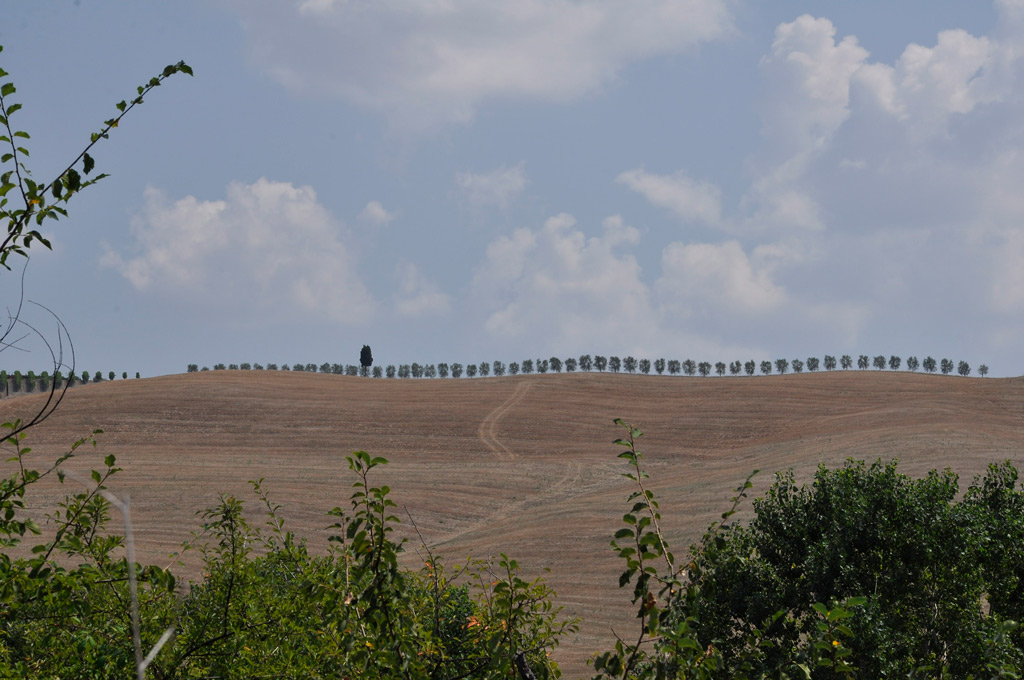2009-08-Montepulc_395orig.jpg