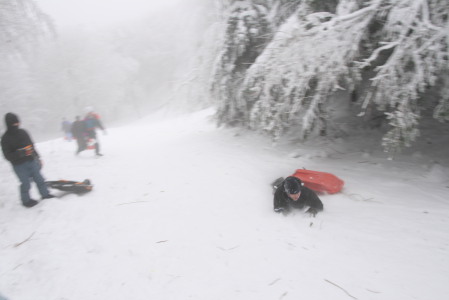 20090103_4672.JPG