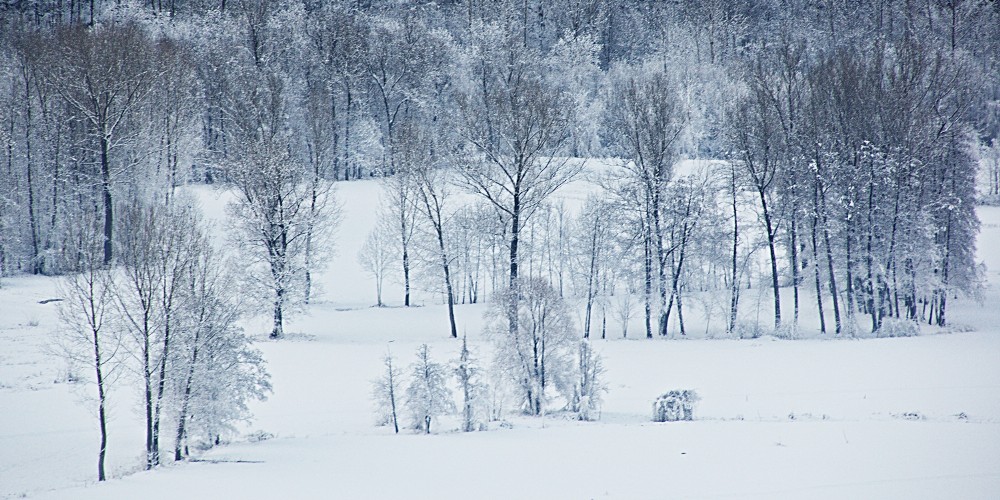 20090105_007_P4U.jpg