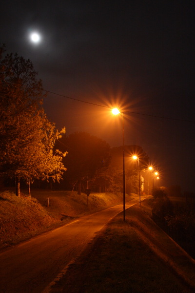 20090210_5736tempcoloreAUTO.JPG