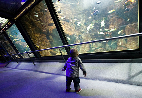 20091129_9_63.jpg