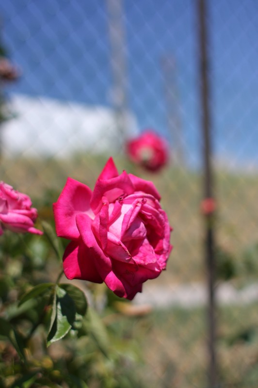 2009_07_12_0057p4u.jpg