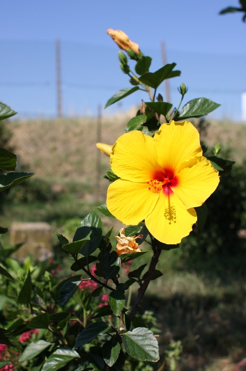 2009_07_14_0109p4u.jpg