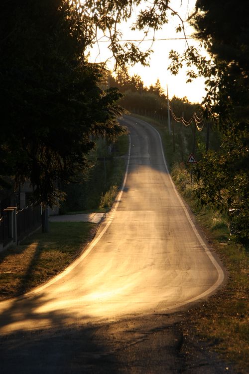 2009_07_20_0912p4u.jpg