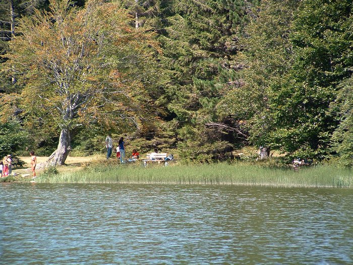 2009_08180007_Samu.jpg