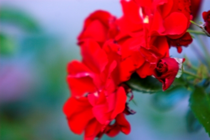 200 + converter f4.jpg